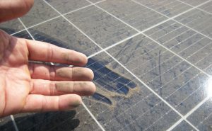 Should You Leave Solar Panel Cleaning to a Professional?
