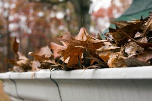 What You Need to Know About Gutter Cleaning
