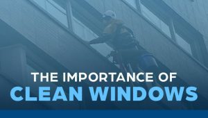 The Importance of Clean Windows
