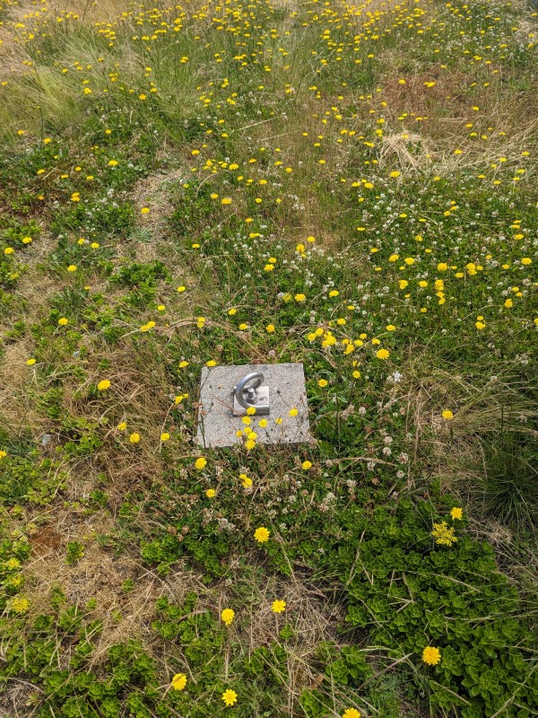 Professional Roof Anchor & Safety Line Inspections