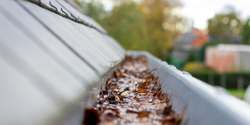 3 Signs It’s Time for a Gutter Cleaning Service